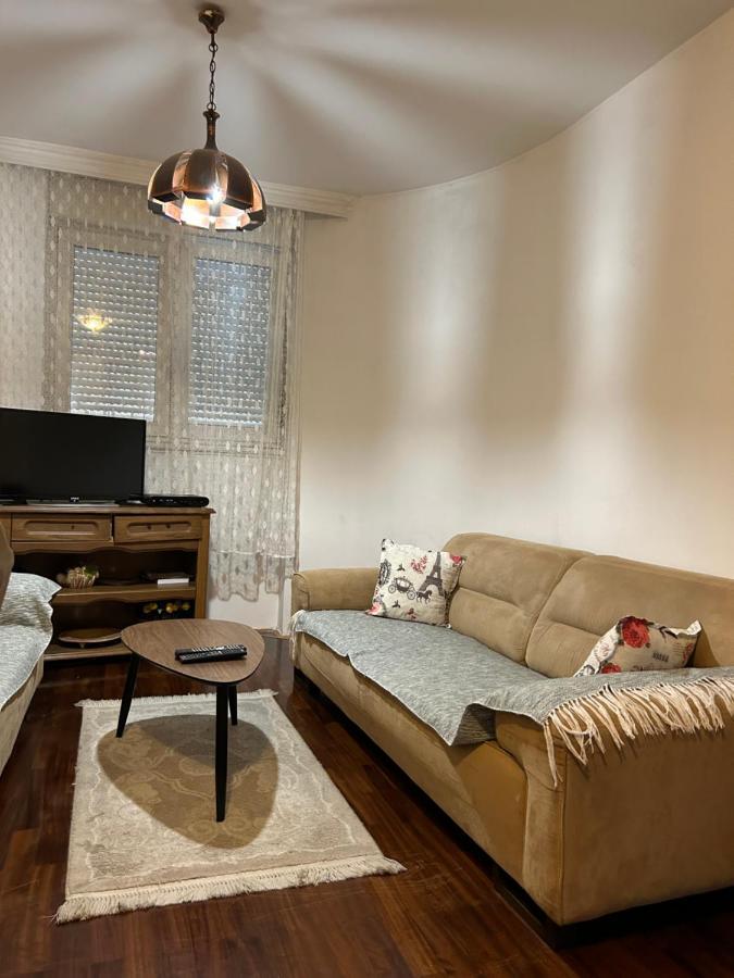 Apartment Sara Podgorica Bagian luar foto
