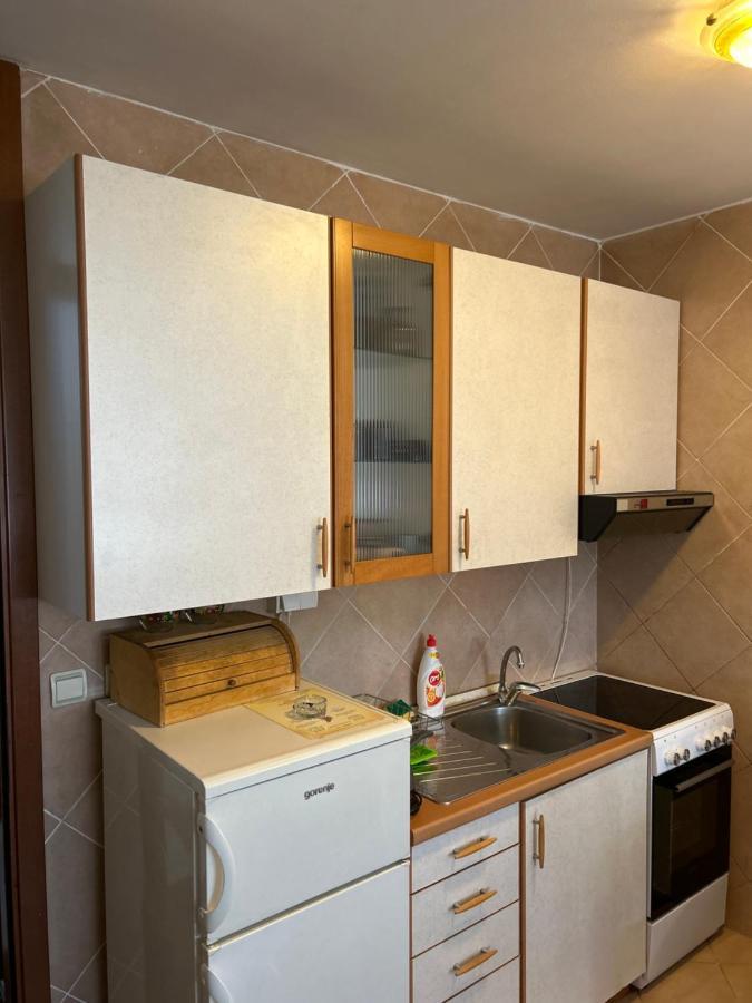Apartment Sara Podgorica Bagian luar foto