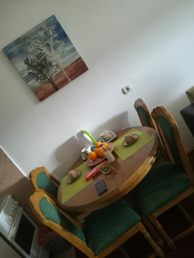 Apartment Sara Podgorica Bagian luar foto